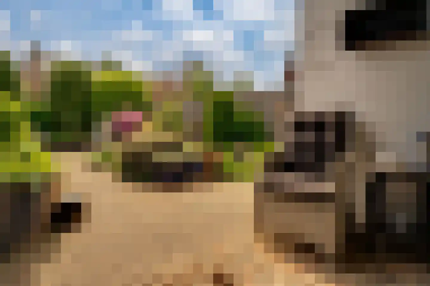 Oosteinde 56 Zevenaar thumbnail 35