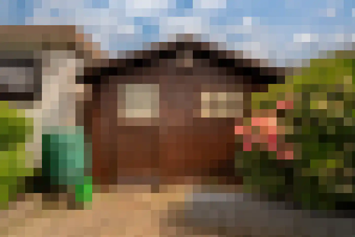 Oosteinde 56 Zevenaar thumbnail 37