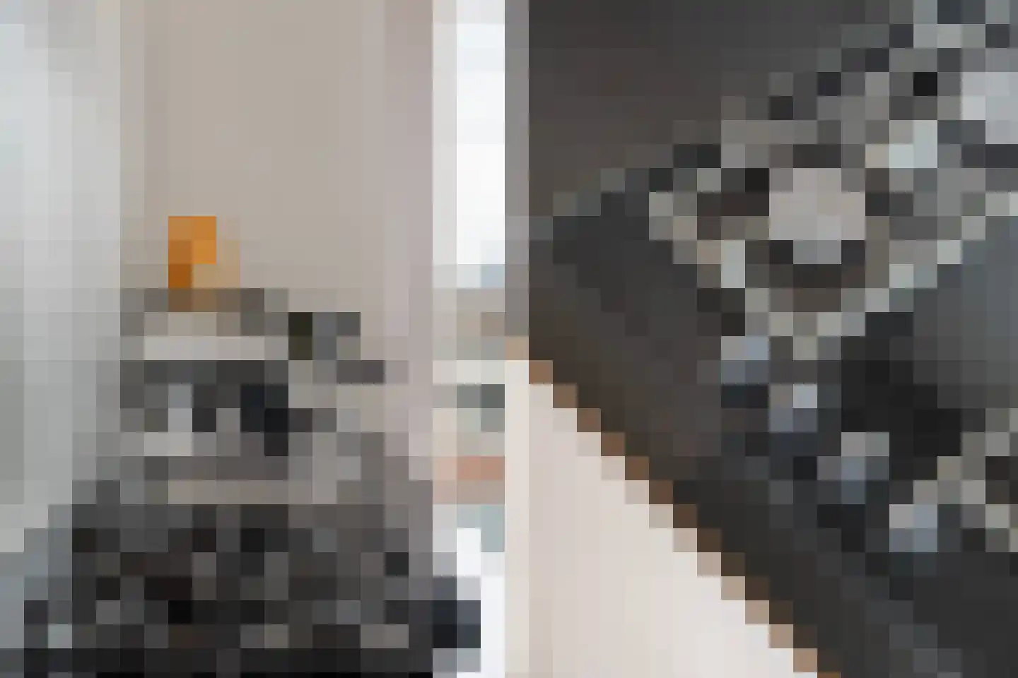 Oosteinde 58 A Rotterdam thumbnail 14