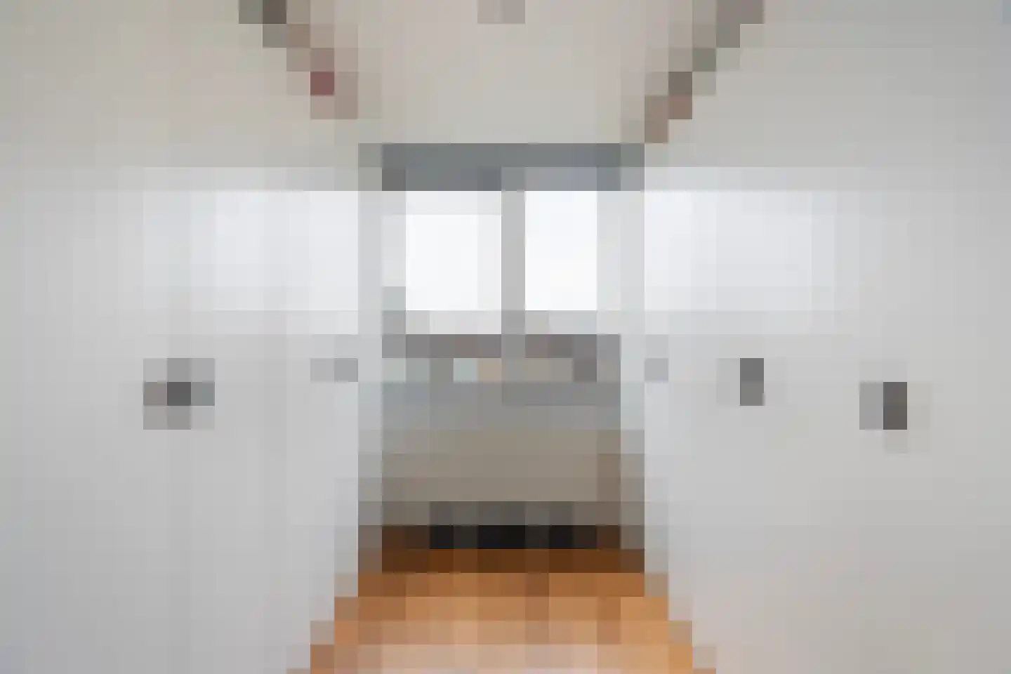 Oosteinde 58 A Rotterdam thumbnail 22