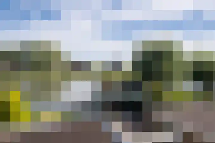 Oosteinde 62 Schermerhorn thumbnail 21