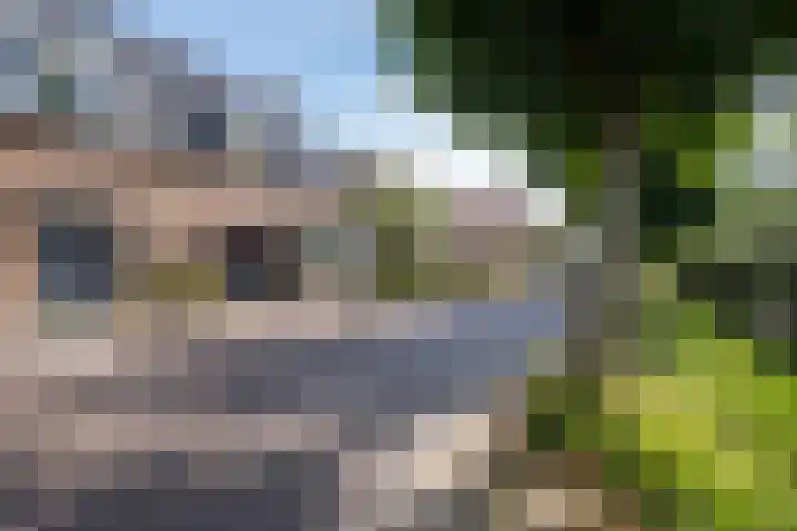 Oosteinde 62 Schermerhorn thumbnail 24