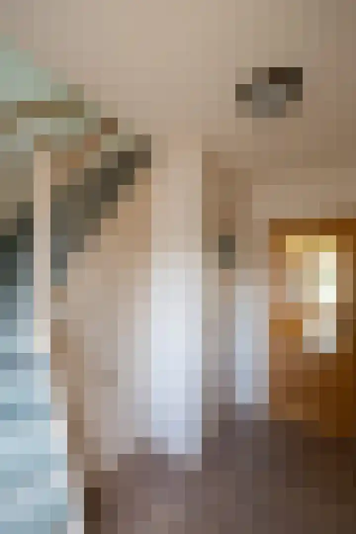 Oosteinde 62 Schermerhorn thumbnail 28