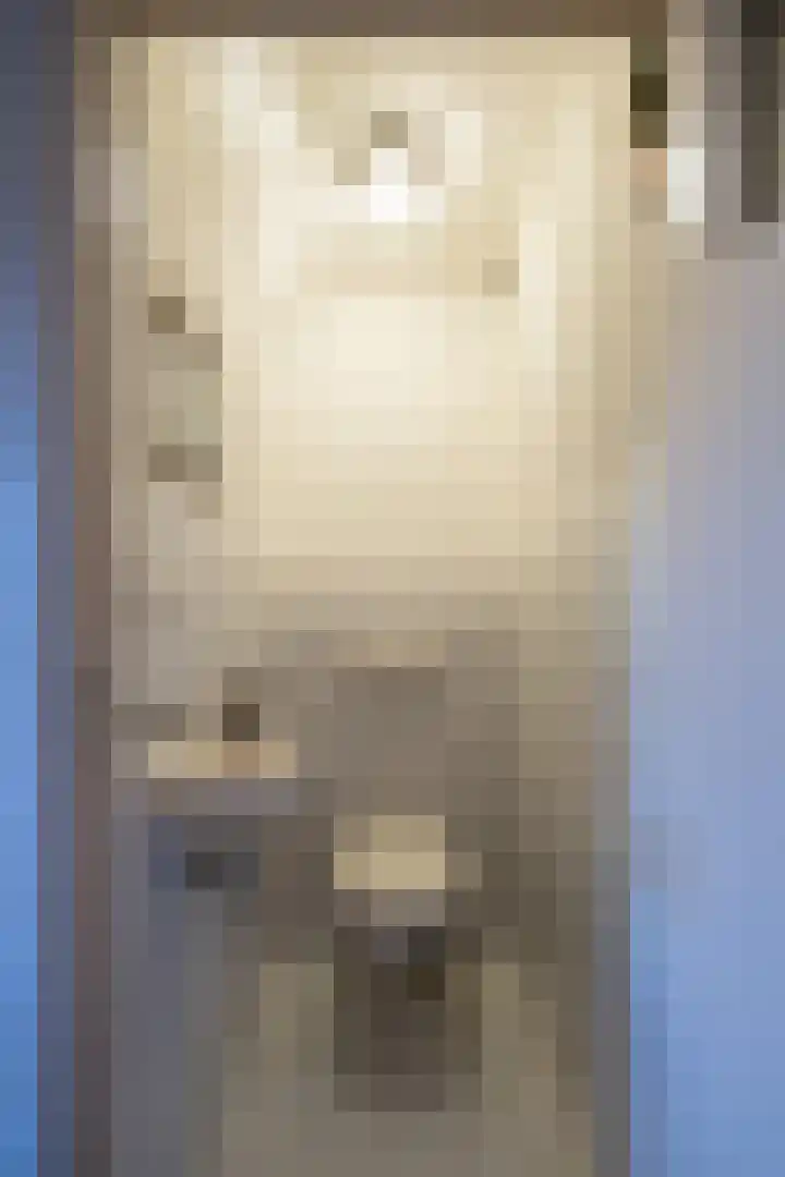 Oosteinde 62 Schermerhorn thumbnail 30