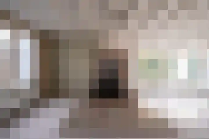 Oosteinde 62 Schermerhorn thumbnail 32