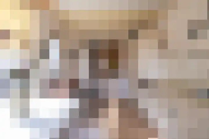 Oosteinde 62 Schermerhorn thumbnail 35