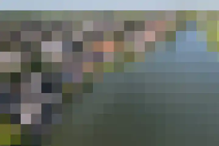 Oosteinde 62 Schermerhorn thumbnail 38