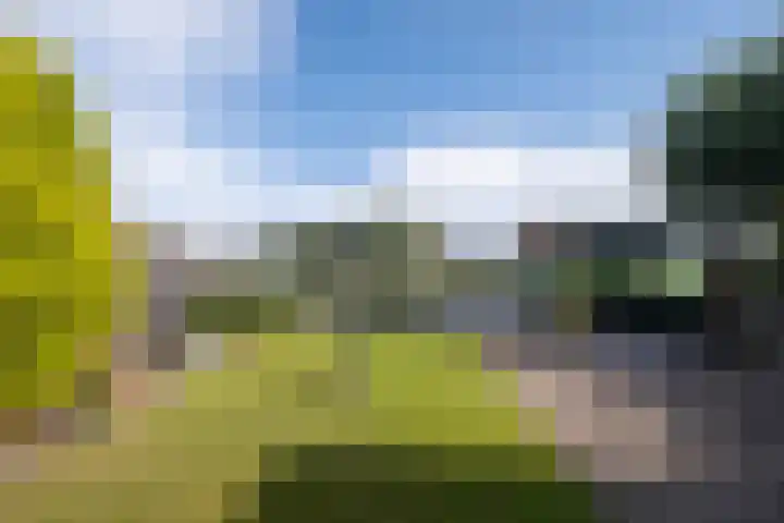 Oosteinde 62 Schermerhorn thumbnail 4