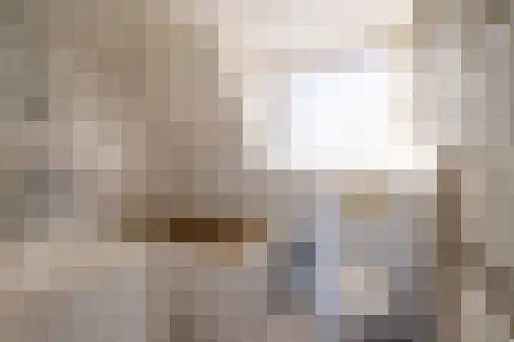 Oosteinde 62 Schermerhorn thumbnail 8