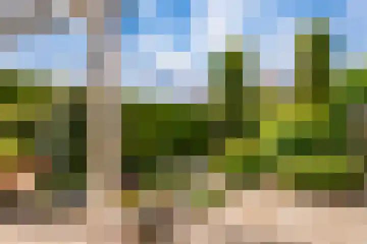 Oosteinde 62 Zevenaar thumbnail 34