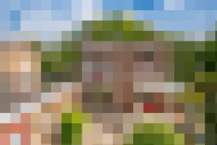 Oosteinde 62 Zevenaar thumbnail 41