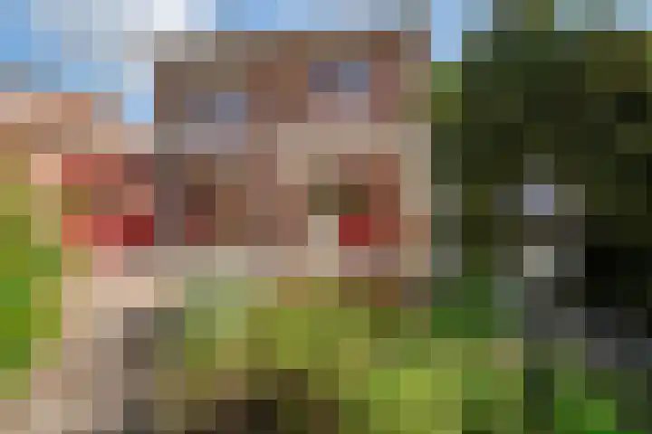 Oosteinde 62 Zevenaar thumbnail 42