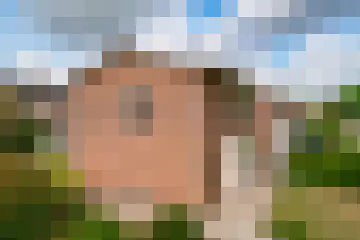 Oosteinde 62 Zevenaar thumbnail 43
