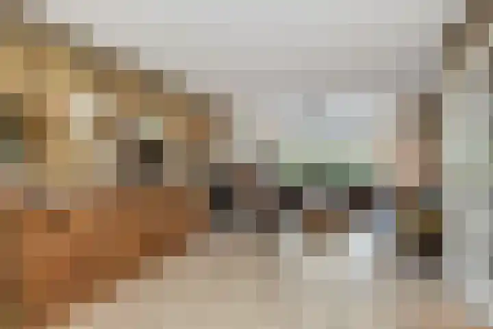 Oosteinde 65 B Den Haag thumbnail 10