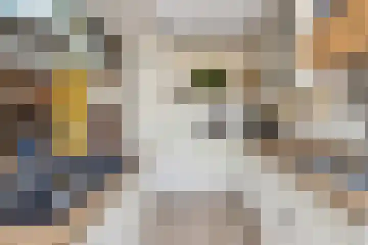 Oosteinde 65 B Den Haag thumbnail 22