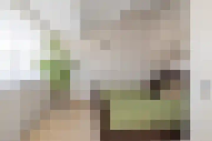 Oosteinde 65 B Den Haag thumbnail 46