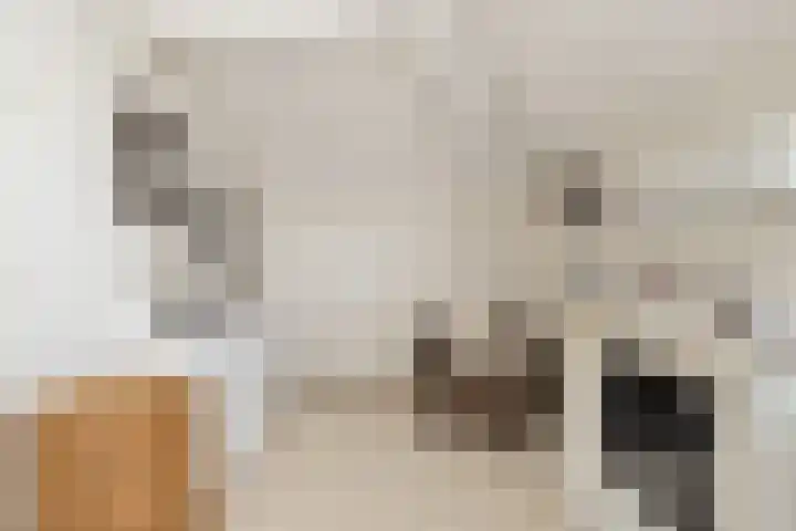 Oosteinde 65 B Den Haag thumbnail 47