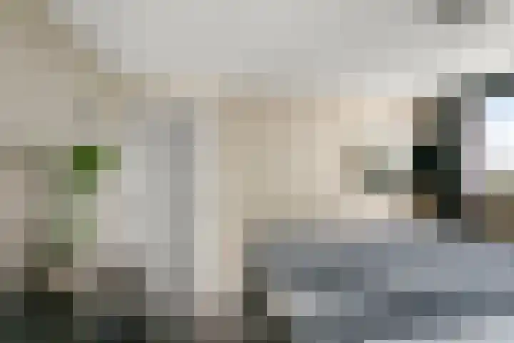 Oosteinde 66 Wormer thumbnail 32