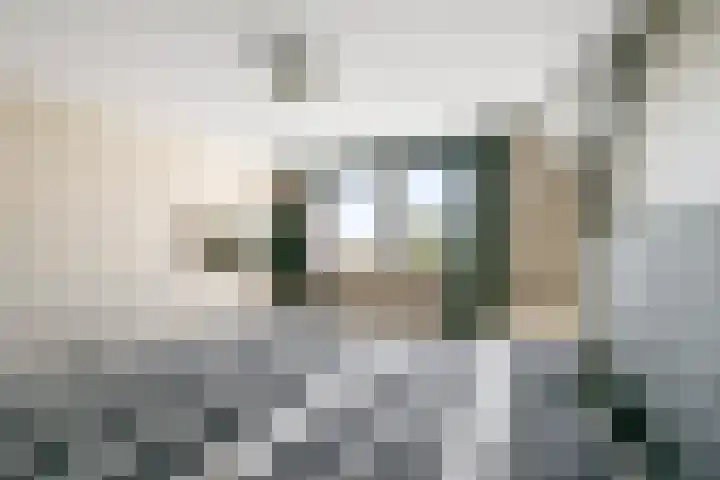 Oosteinde 66 Wormer thumbnail 33