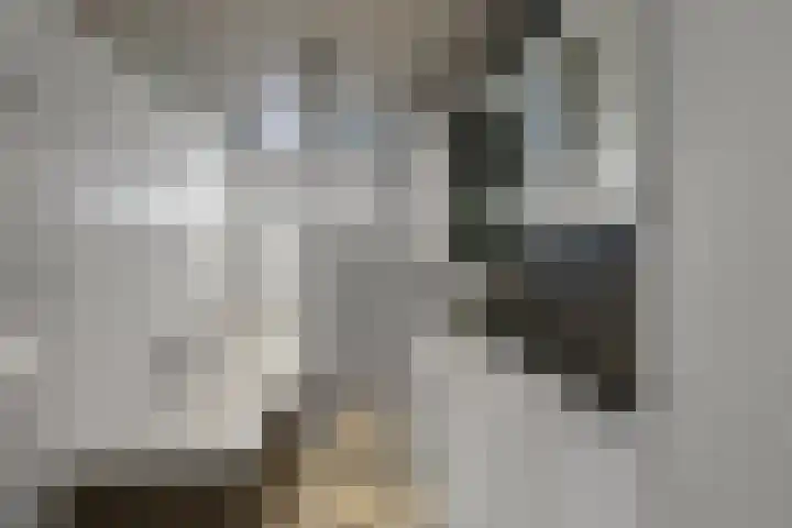 Oosteinde 66 Wormer thumbnail 41