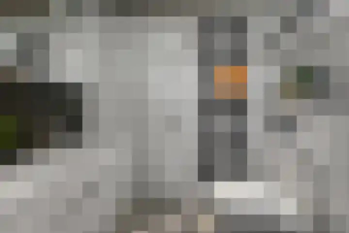 Oosteinde 66 Wormer thumbnail 45