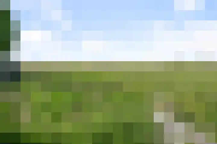 Oosteinde 66 Wormer thumbnail 62