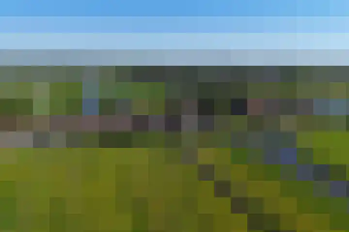 Oosteinde 66 Wormer thumbnail 69