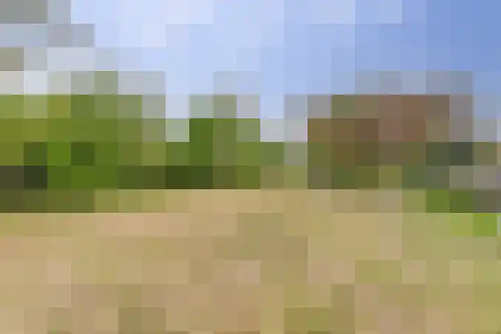 Oosteinde 69 Berkhout thumbnail 31