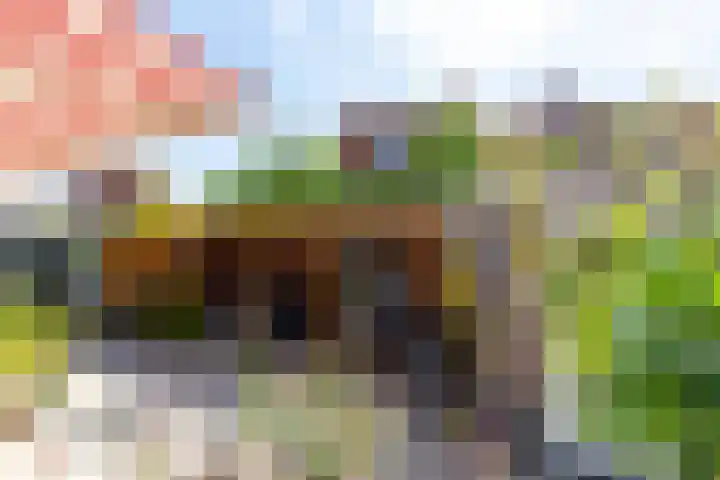 Oosteinde 71 Den Haag thumbnail 27