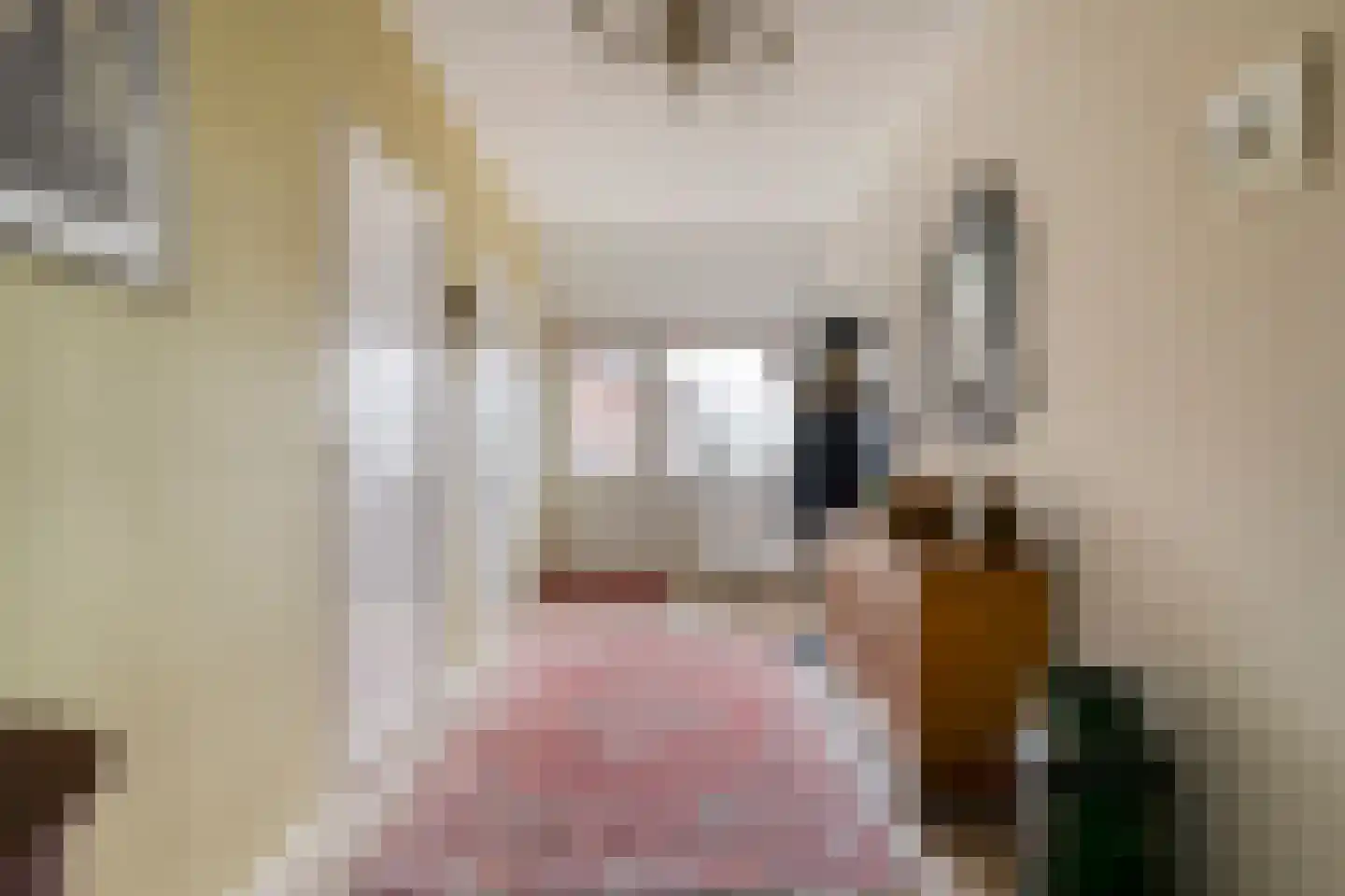 Oosteinde 72 Wapserveen thumbnail 14