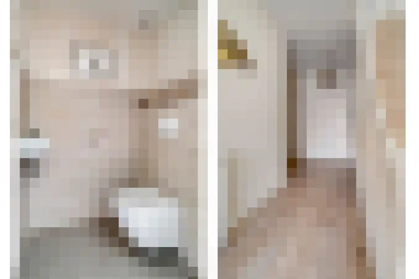 Oosteinde 72 Wapserveen thumbnail 15