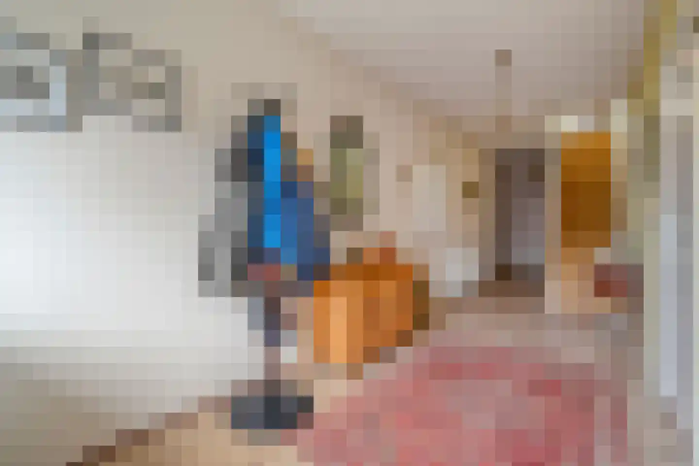 Oosteinde 72 Wapserveen thumbnail 17