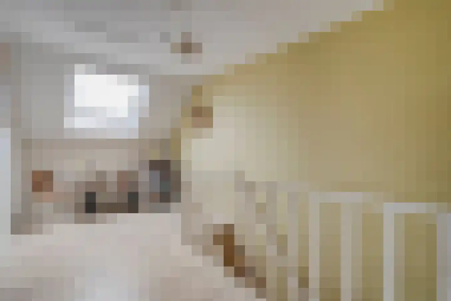 Oosteinde 72 Wapserveen thumbnail 18