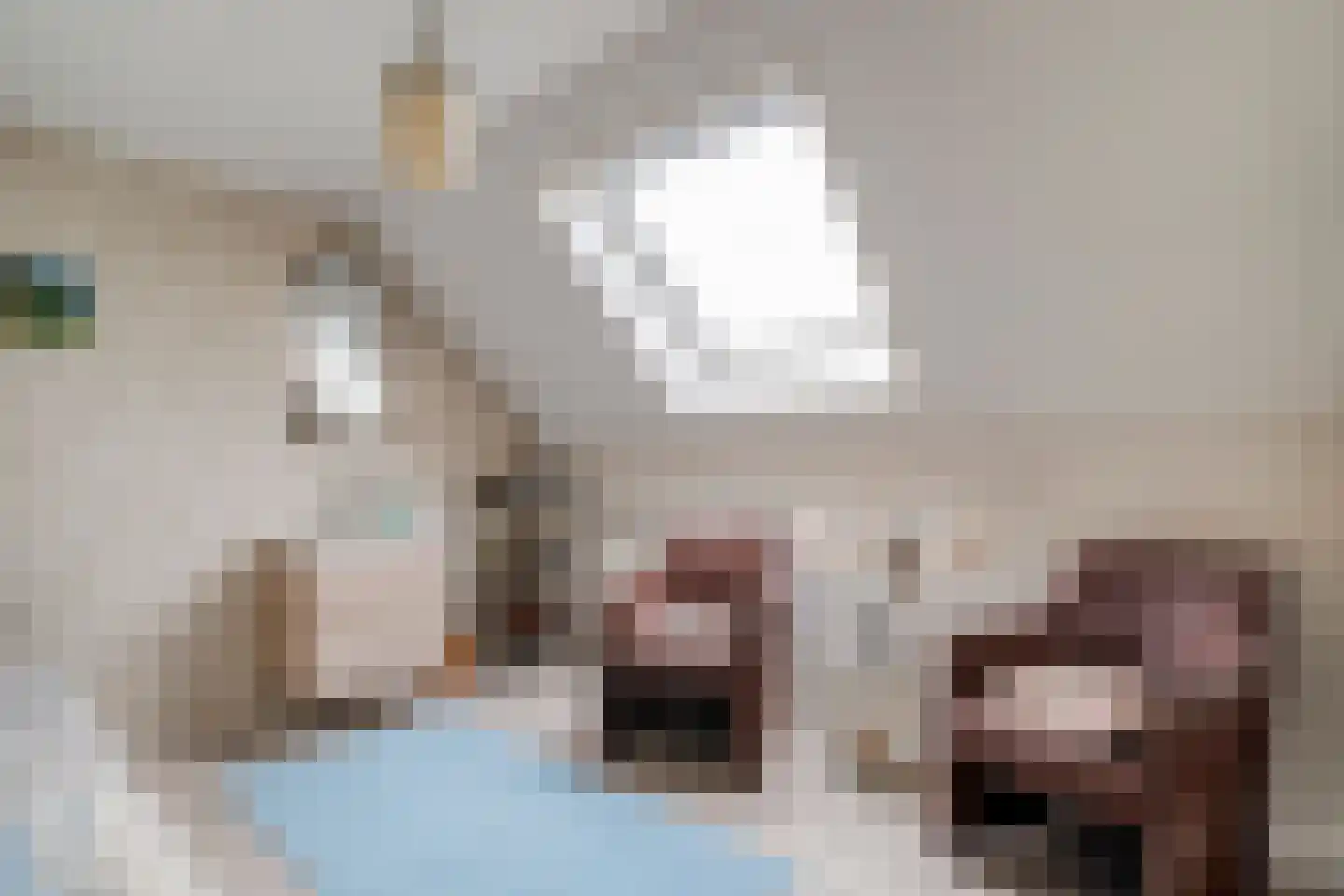 Oosteinde 72 Wapserveen thumbnail 21