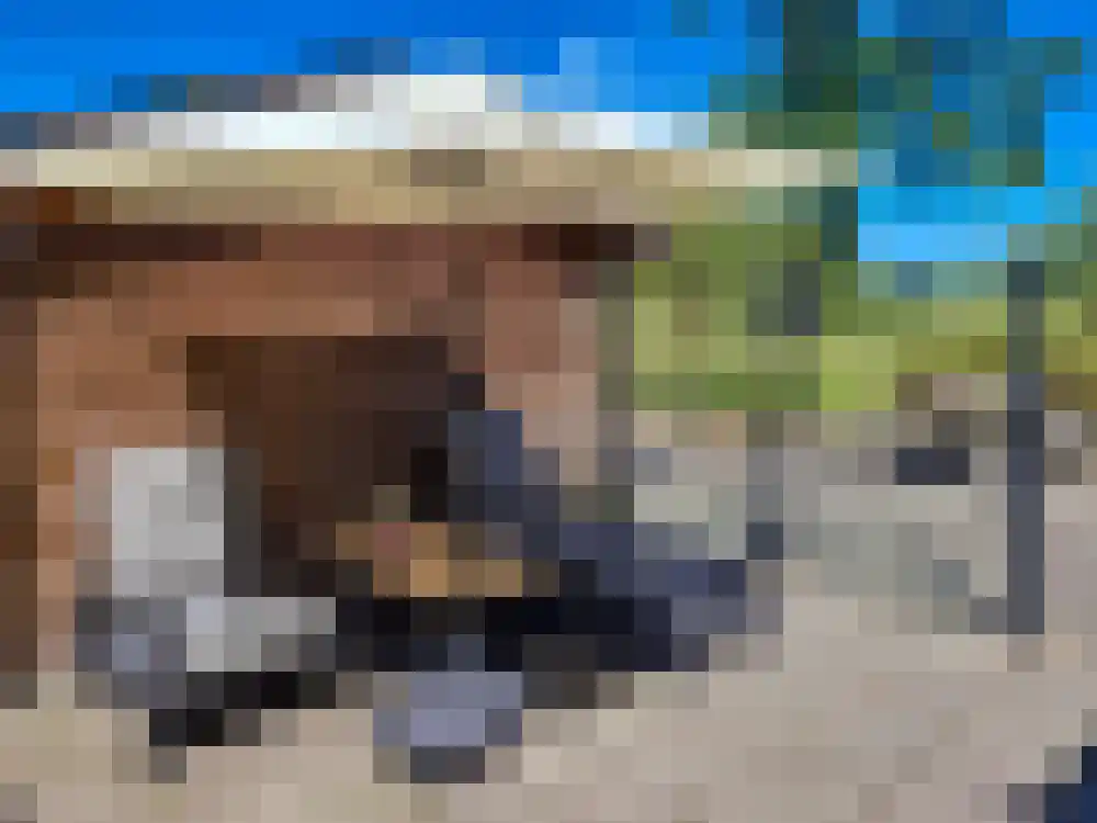 Oosteinde 72 Wapserveen thumbnail 26