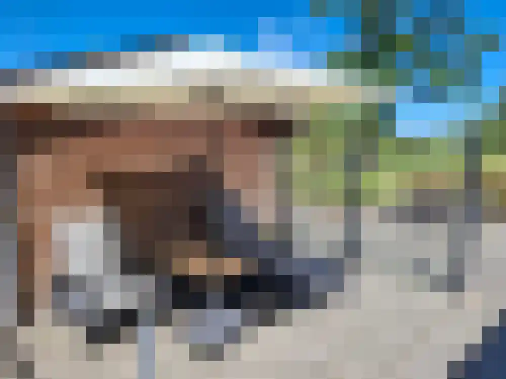 Oosteinde 72 Wapserveen thumbnail 26