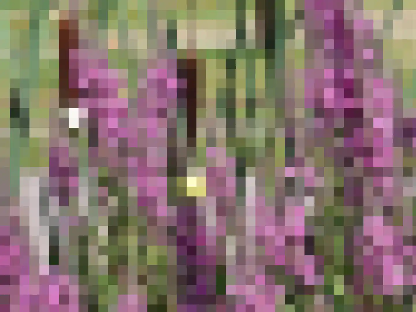 Oosteinde 72 Wapserveen thumbnail 36