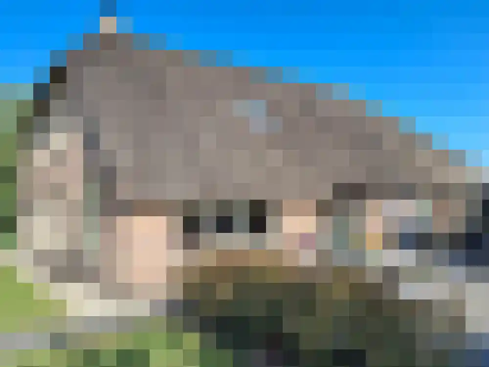 Oosteinde 72 Wapserveen thumbnail 4