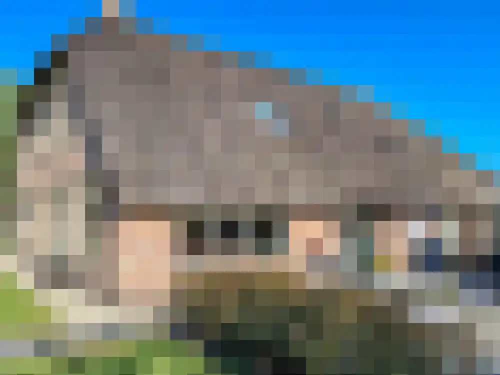 Oosteinde 72 Wapserveen thumbnail 4