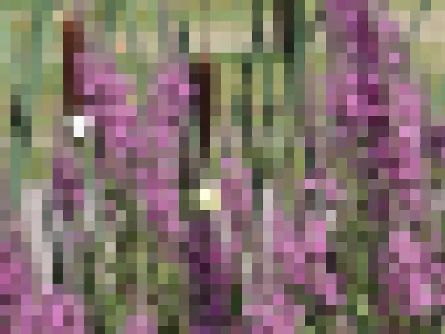 Oosteinde 72 Wapserveen thumbnail 40