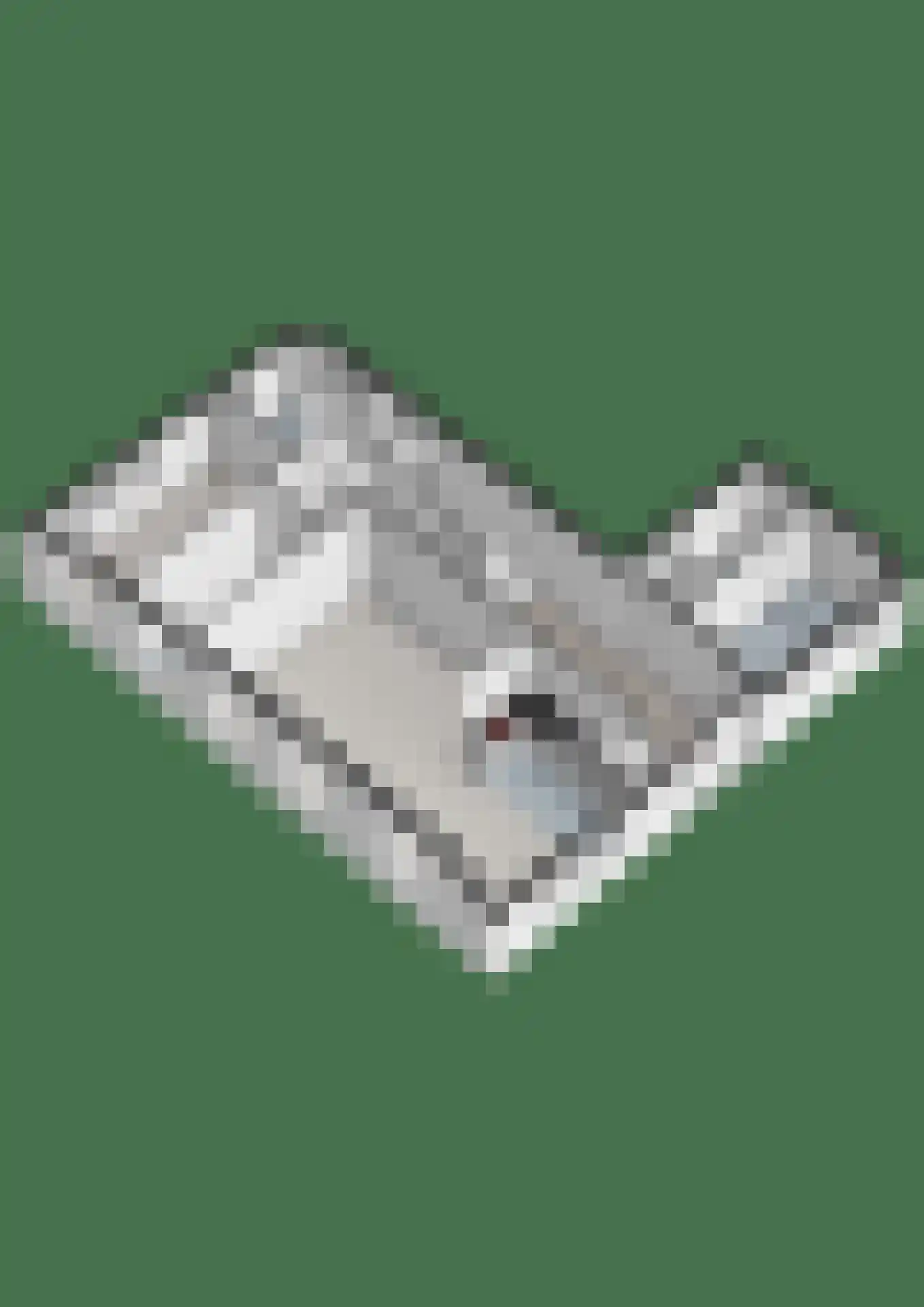 Oosteinde 72 Wapserveen thumbnail 42