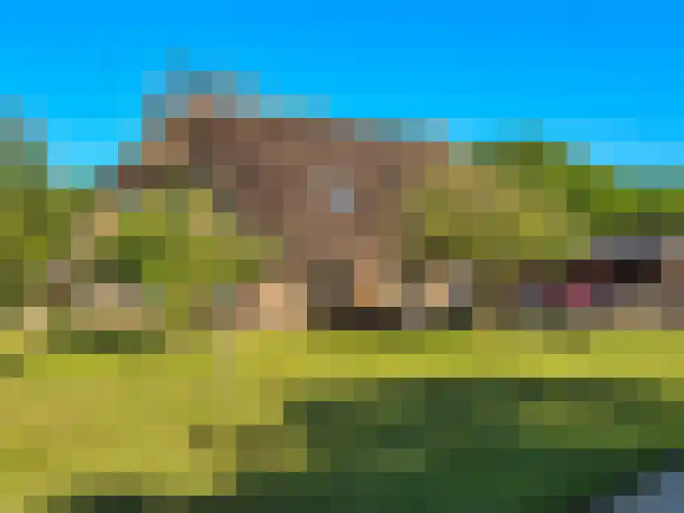 Oosteinde 72 Wapserveen thumbnail 5