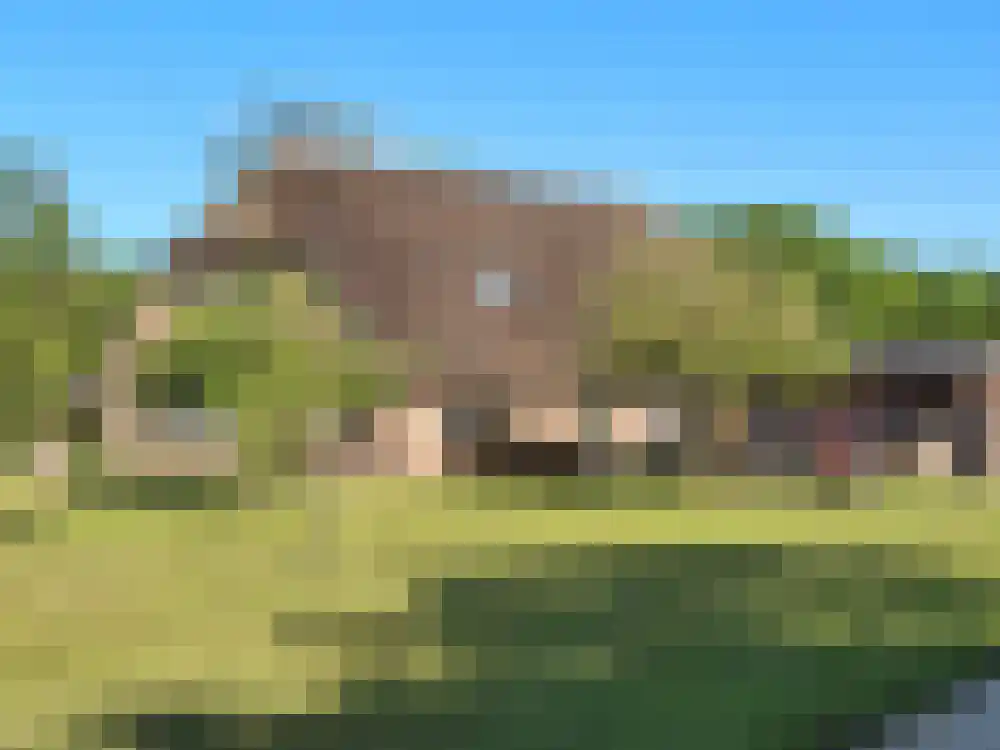 Oosteinde 72 Wapserveen thumbnail 5