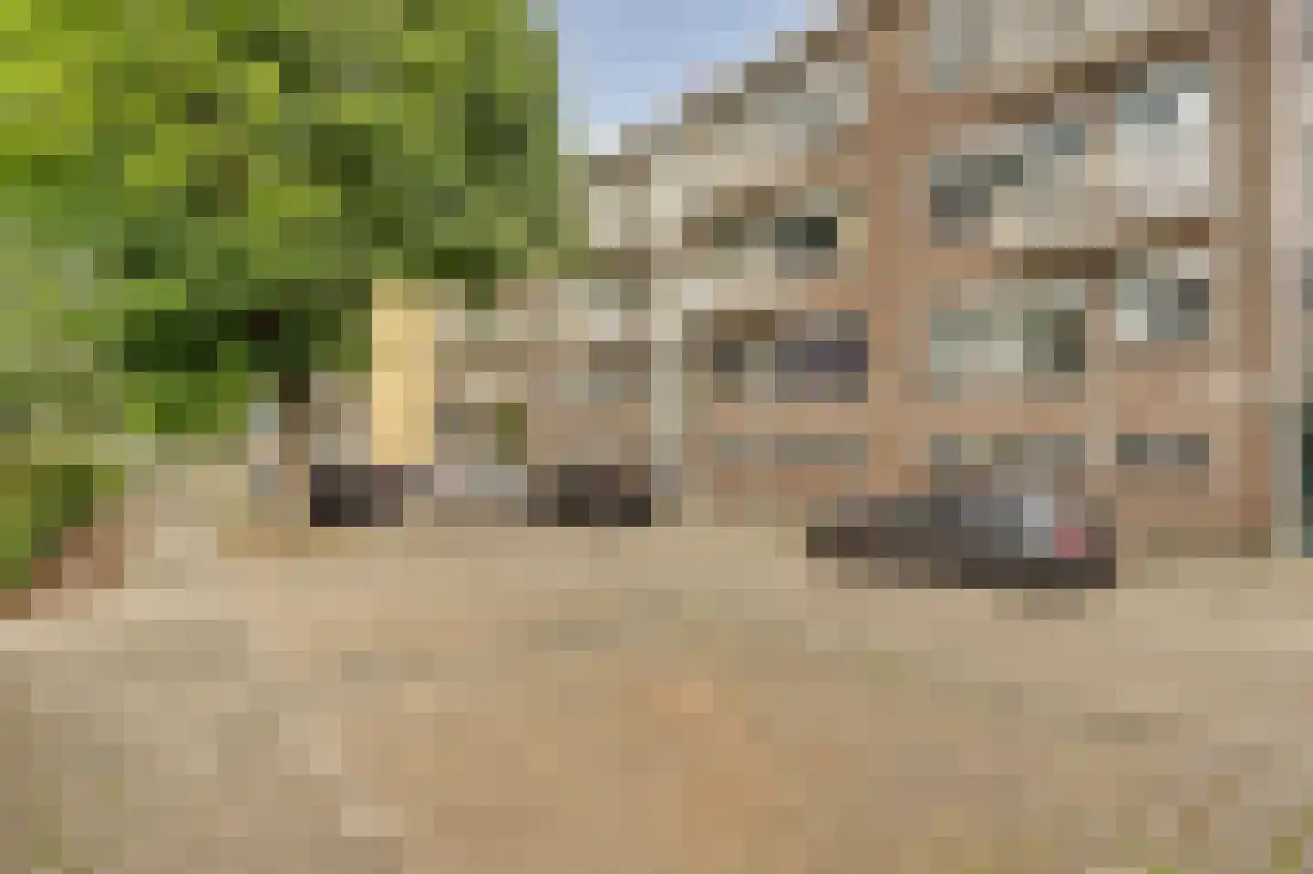 Oosteinde 74 A Rotterdam thumbnail 22