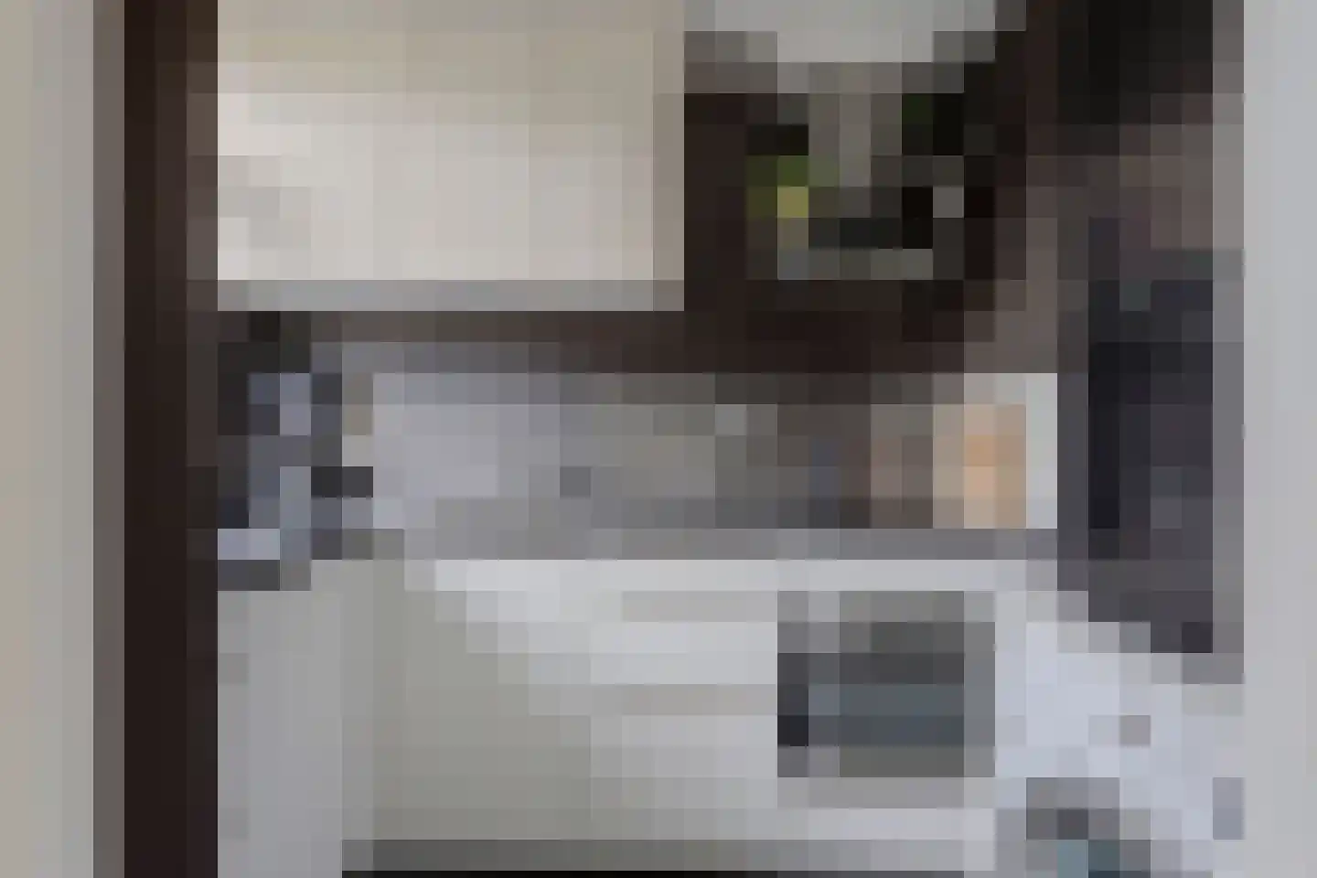 Oosteinde 74 A Rotterdam thumbnail 5