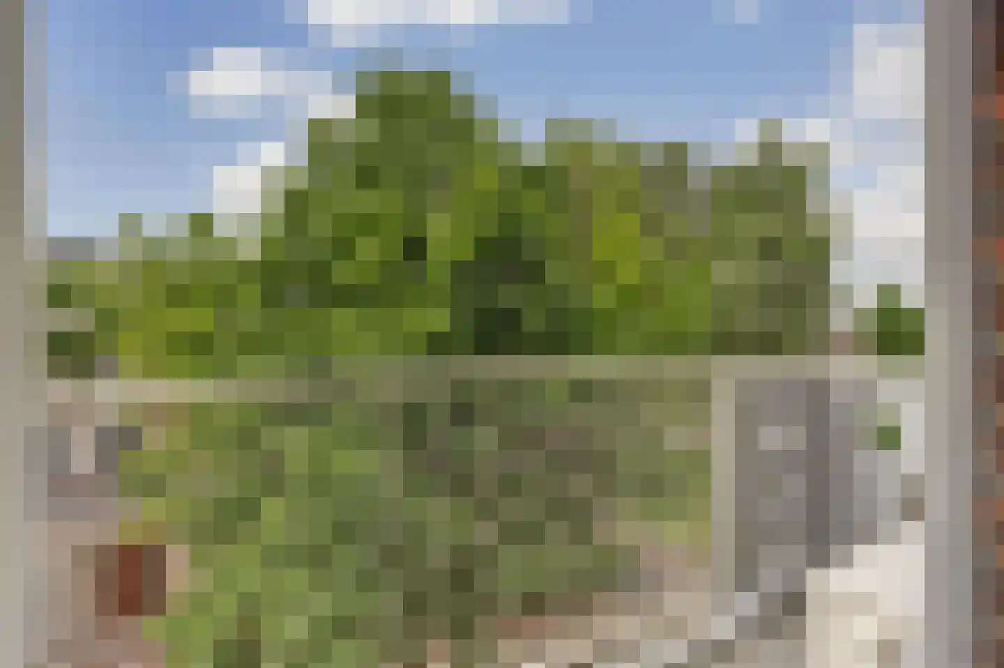 Oosteinde 74 A Rotterdam thumbnail 8