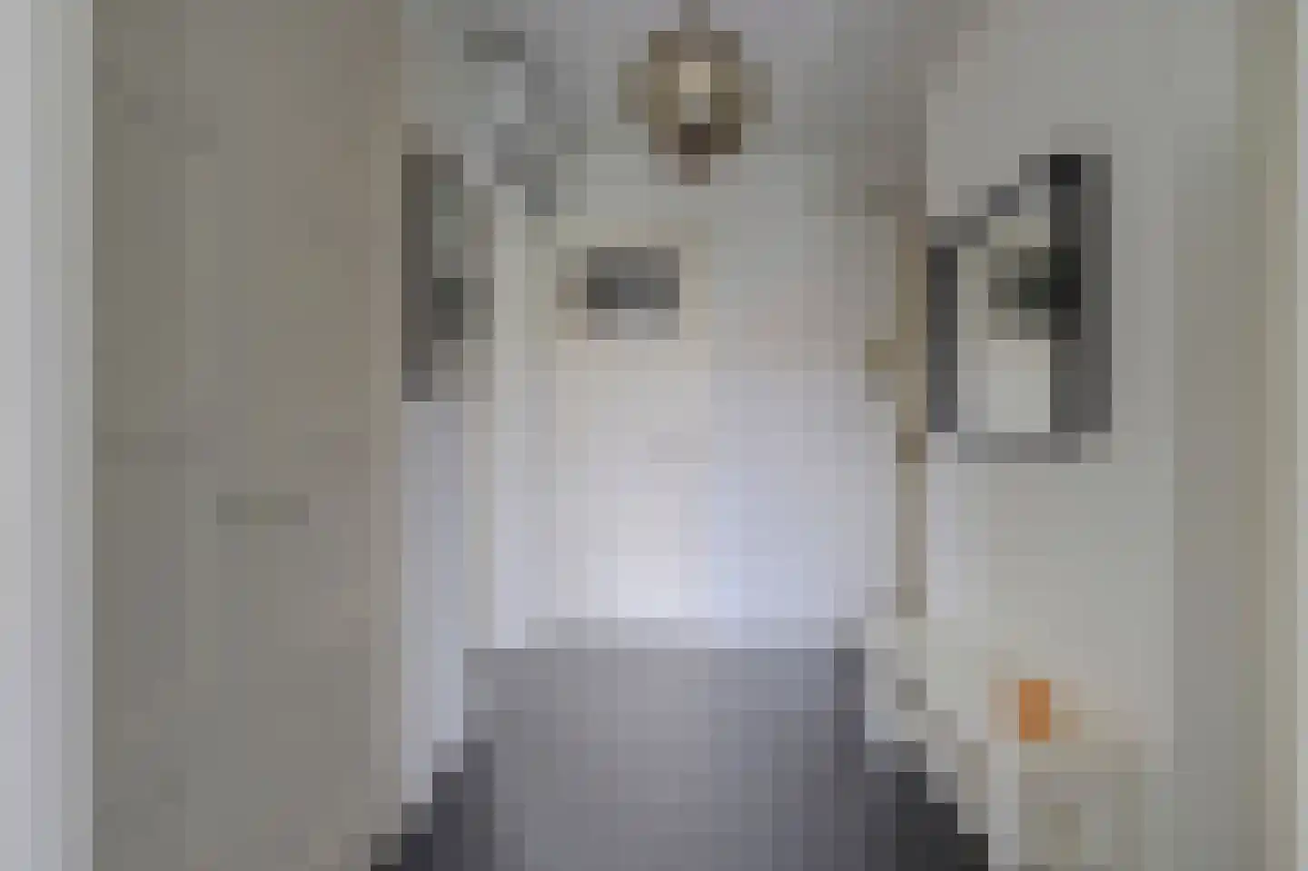 Oosteinde 74 C Rotterdam thumbnail 11