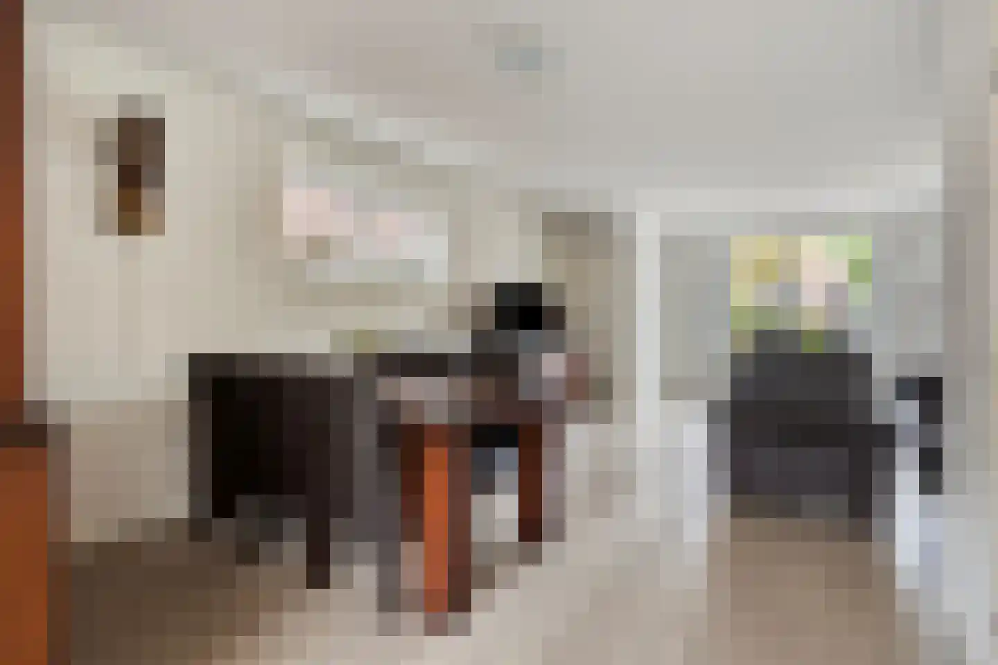 Oosteinde 78 Scherpenzeel thumbnail 10