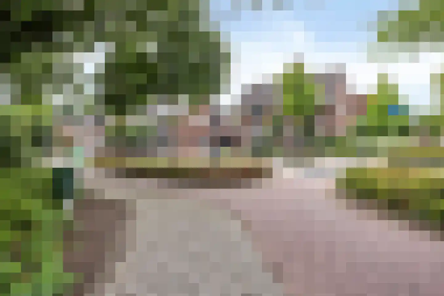 Oosteinde 78 Scherpenzeel thumbnail 26