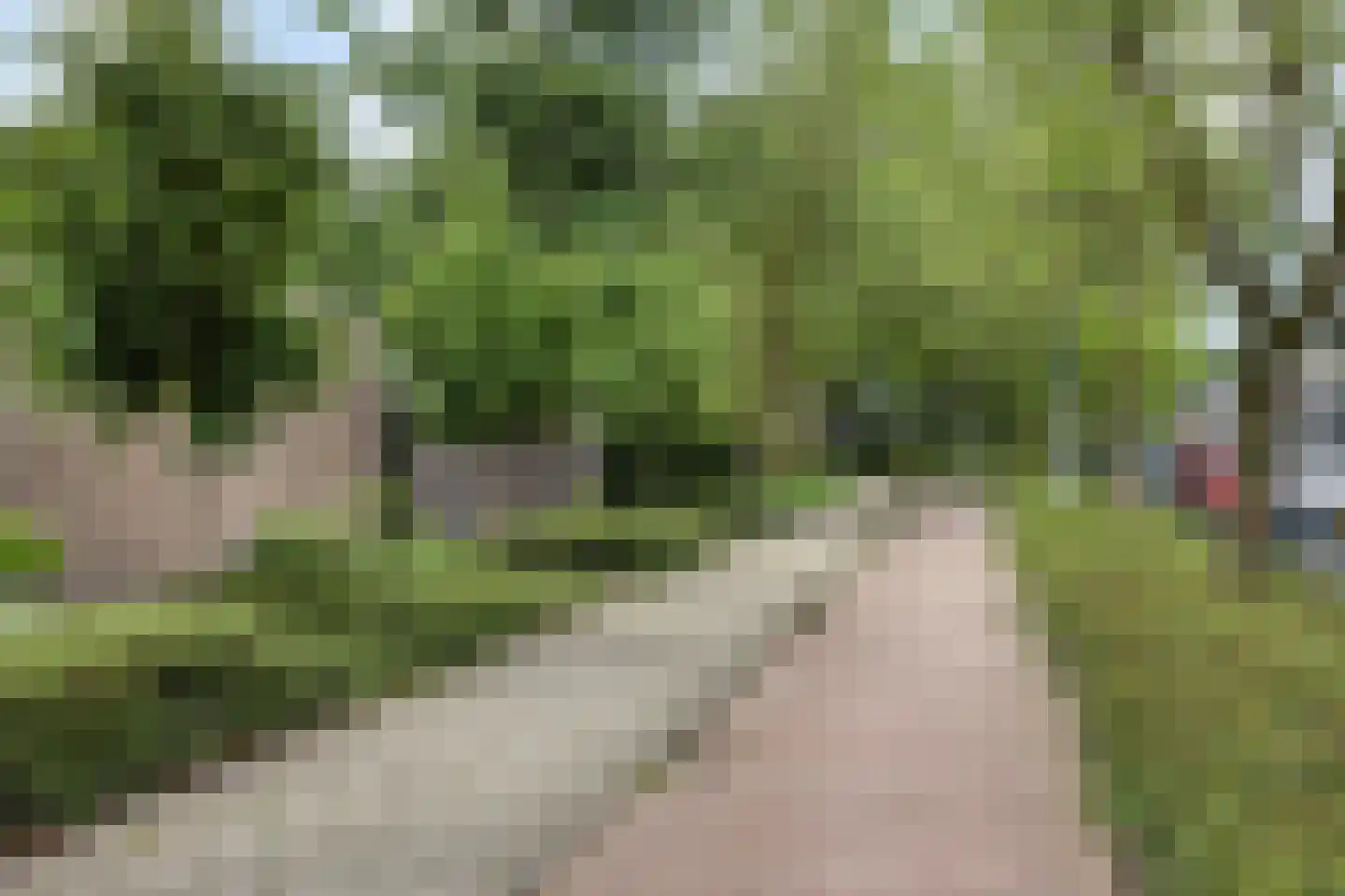 Oosteinde 78 Scherpenzeel thumbnail 27